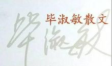 毕淑敏作品_毕淑敏散文集