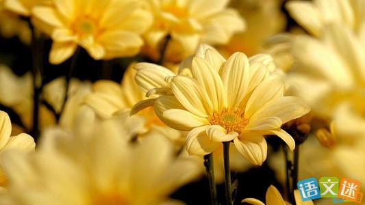 描述阳光的好句子和段落