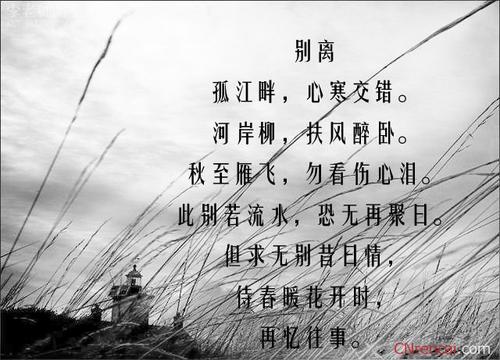 关于分手的句子