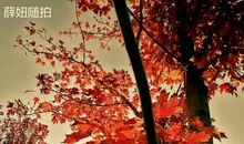 请记住：撑住，才有了后来的一切