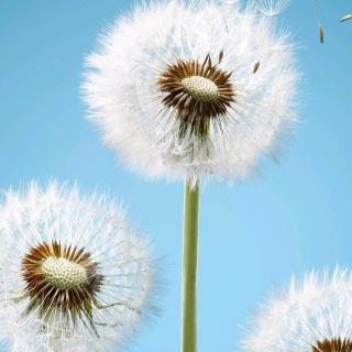 30个字符的简历令人震惊！