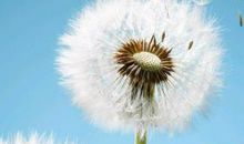 一份30个字的个人简历，令人震惊！