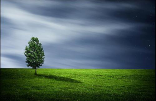 真正的美好生活是生命力