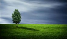 真正的好命，是有生命力