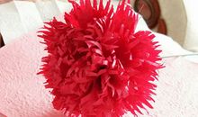 形容康乃馨的句子