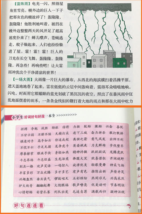 描述杜鹃花的好词和句子