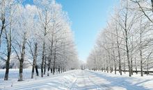 描写冬天景物的精彩片段