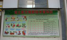 测土配方施肥宣传标语