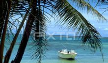 巴金：友谊的海洋