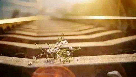 不要太担心，只要成为世界上最好的自己1