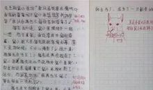 高中班主任评语（一）