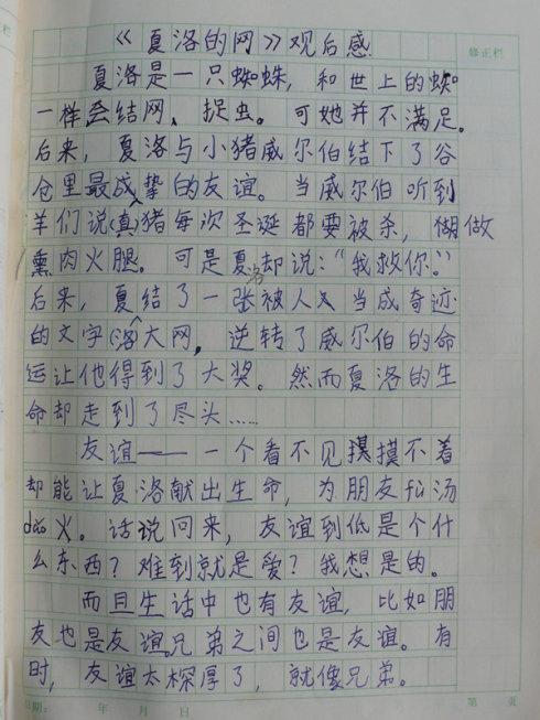 阅读后200字