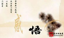 有关感悟的句子