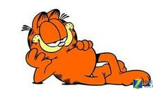 努力不是没有用，就怕你不够努力