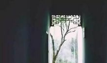 与其有钱，不如有用