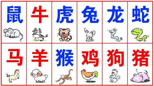 十二生肖成语