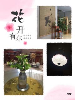 林庆轩：一个闪亮的母亲