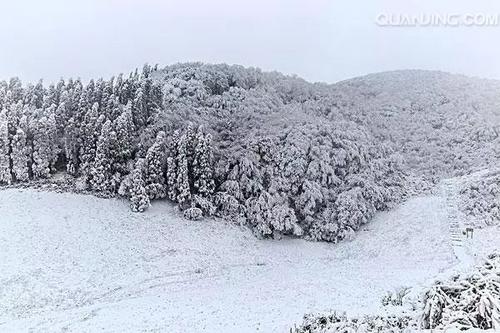 关于雪景的好单词和句子