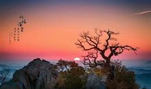 没有痛苦你就一无所获