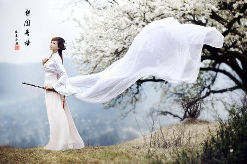 冯延思：蝴蝶与花朵