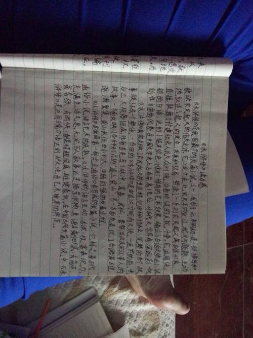 阅读《水Mar传》后的700个单词