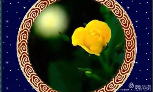 一个人最大的成功就是健康生活