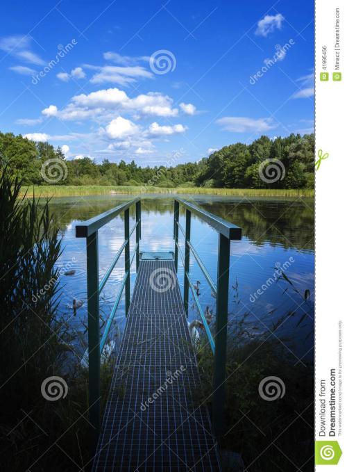 神秘池塘的隐喻