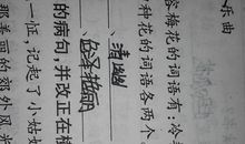 描写雨大的词语句子