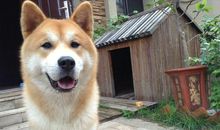 含有热字的歇后语