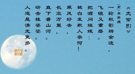 描述台山的陈述