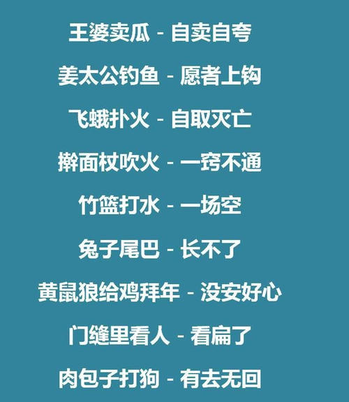 关于速度的名言