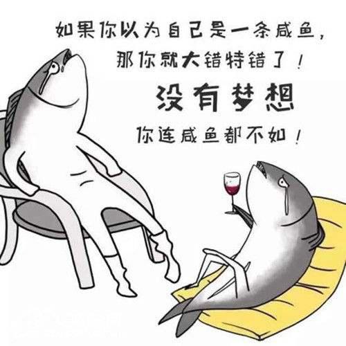 然后成为只有梦想的咸鱼