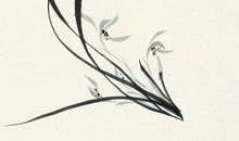 这个世界上从来就没有真正的绝境