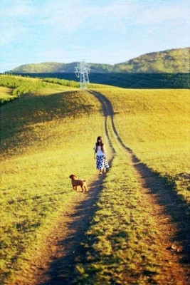 如果您不穿别人的鞋子，不要判断别人的行走方式