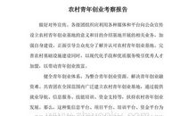 描写松树的好词好句