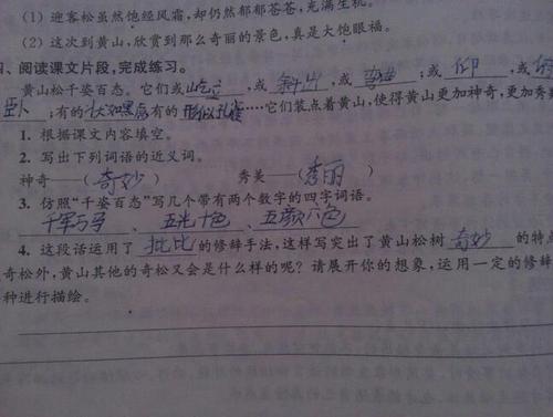 描述松树的好句子