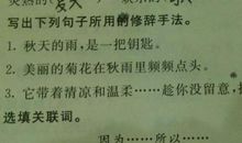 含有修辞手法的句子