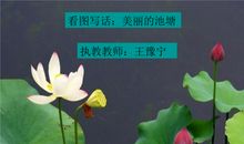 描写春花的句子60字