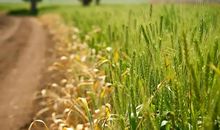 懂得赞美别人，也是一种了不起的才华