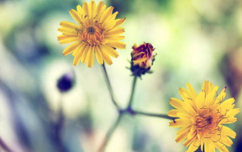 使您成为人生赢家的8种方法