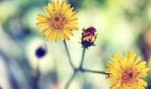 8个方法让你成为人生赢家