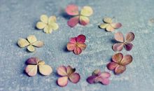 比你更成功的人永远不会告诉你的秘密