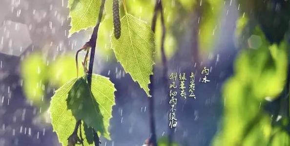 关于雨的诗