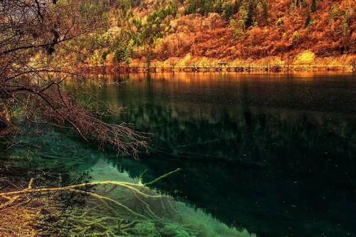 海子：春天到秋天