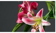 关于苦尽甘来的句子