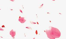 描写桃花花瓣的句子