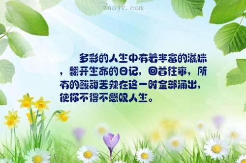 关于生活的陈述