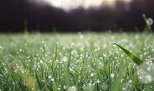 有关春天的优美的句子