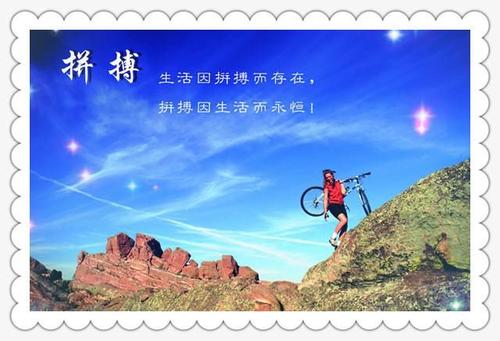 你觉得你努力工作吗？