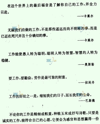 关于职业的名言